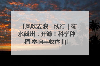风吹麦浪一线行｜衡水冀州：开镰！科学种植 奏响丰收序曲