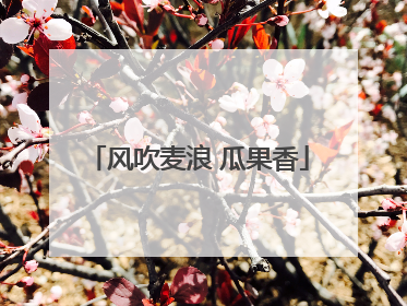 风吹麦浪 瓜果香