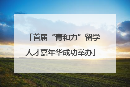首届“青和力”留学人才嘉年华成功举办
