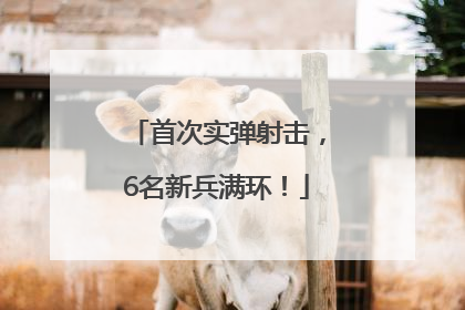 首次实弹射击，6名新兵满环！