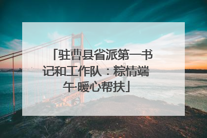 驻曹县省派第一书记和工作队：粽情端午·暖心帮扶