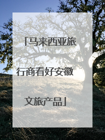 马来西亚旅行商看好安徽文旅产品