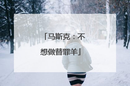 马斯克：不想做替罪羊