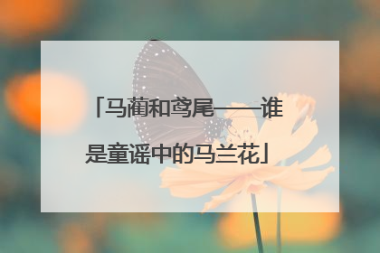 马蔺和鸢尾——谁是童谣中的马兰花