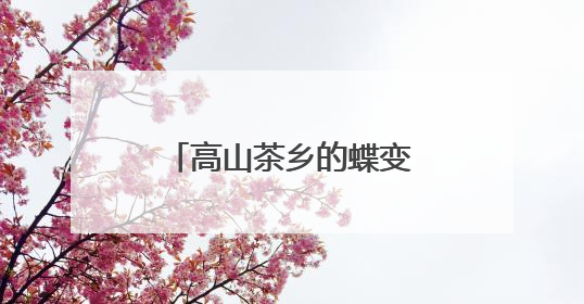 高山茶乡的蝶变——东风村从“鹧鸪营”到生态茶乡的华丽转身