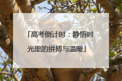 高考倒计时：静悟时光里的拼搏与温暖