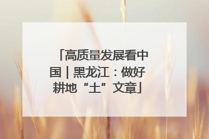 高质量发展看中国｜黑龙江：做好耕地“土”文章