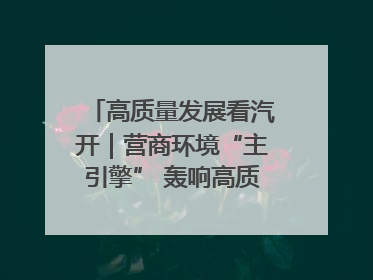 高质量发展看汽开｜营商环境“主引擎” 轰响高质量发展新赛道
