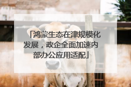 鸿蒙生态在津规模化发展，政企全面加速内部办公应用适配