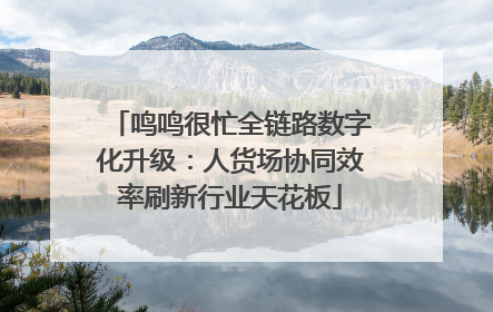 鸣鸣很忙全链路数字化升级：人货场协同效率刷新行业天花板