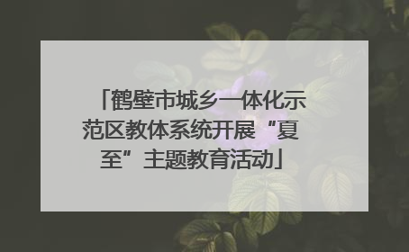 鹤壁市城乡一体化示范区教体系统开展“夏至”主题教育活动