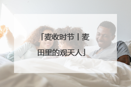 麦收时节丨麦田里的观天人