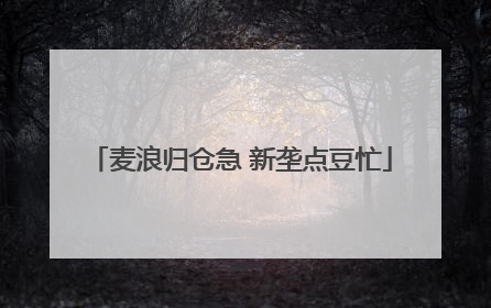 麦浪归仓急 新垄点豆忙