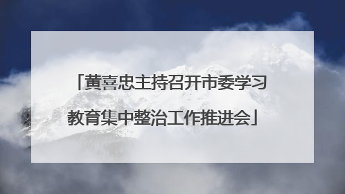 黄喜忠主持召开市委学习教育集中整治工作推进会