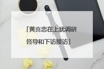 黄喜忠在上犹调研督导和下访接访