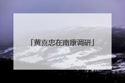 黄喜忠在南康调研