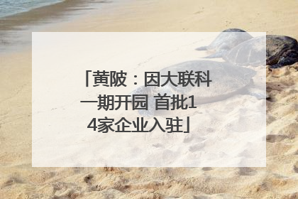 黄陂：因大联科一期开园 首批14家企业入驻