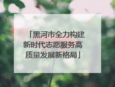 黑河市全力构建新时代志愿服务高质量发展新格局