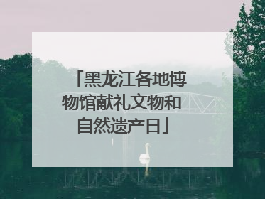 黑龙江各地博物馆献礼文物和自然遗产日