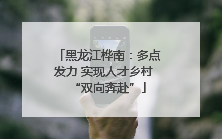 黑龙江桦南：多点发力 实现人才乡村“双向奔赴”