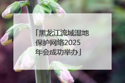 黑龙江流域湿地保护网络2025年会成功举办