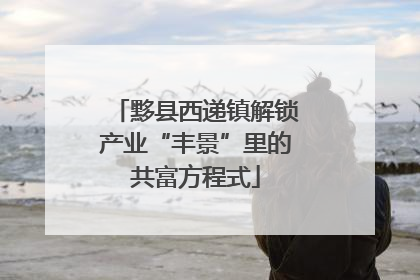 黟县西递镇解锁产业“丰景”里的共富方程式