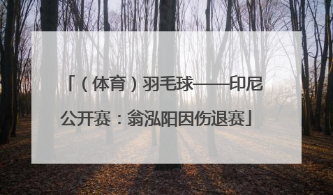 （体育）羽毛球——印尼公开赛：翁泓阳因伤退赛