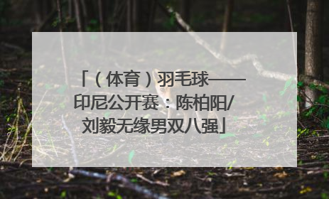 （体育）羽毛球——印尼公开赛：陈柏阳/刘毅无缘男双八强