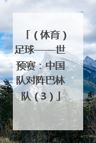 （体育）足球——世预赛：中国队对阵巴林队（3）