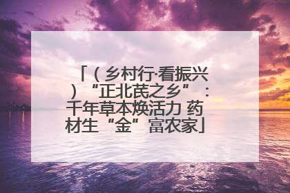 （乡村行·看振兴）“正北芪之乡”：千年草本焕活力 药材生“金”富农家