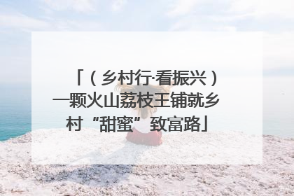 （乡村行·看振兴）一颗火山荔枝王铺就乡村“甜蜜”致富路
