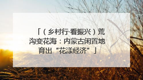 （乡村行·看振兴）荒沟变花海：内蒙古闲置地育出“花漾经济”