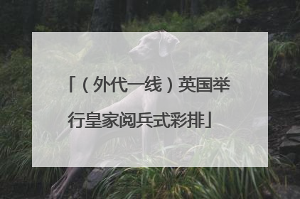 （外代一线）英国举行皇家阅兵式彩排