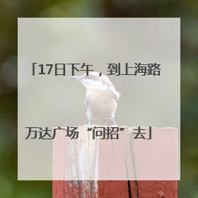17日下午，到上海路万达广场“问招”去