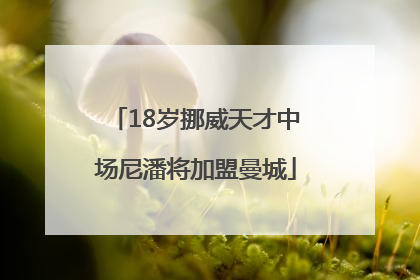 18岁挪威天才中场尼潘将加盟曼城