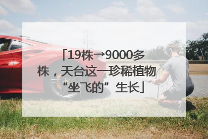 19株→9000多株，天台这一珍稀植物“坐飞的”生长