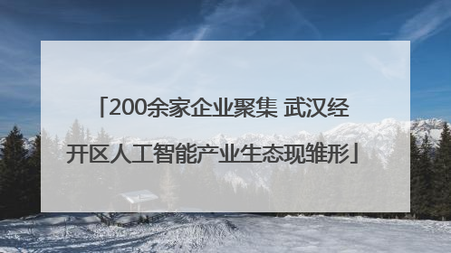 200余家企业聚集 武汉经开区人工智能产业生态现雏形