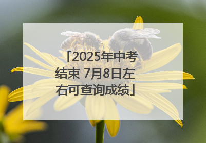 2025年中考结束 7月8日左右可查询成绩