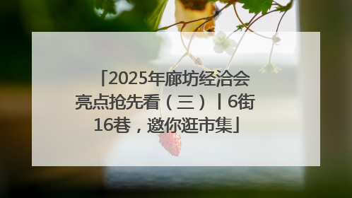 2025年廊坊经洽会亮点抢先看（三）丨6街16巷，邀你逛市集