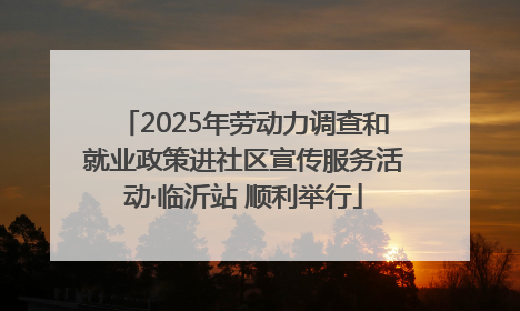 2025年劳动力调查和就业政策进社区宣传服务活动·临沂站 顺利举行