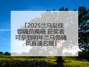 2025兰马最佳领嗨员揭晓 获奖者可拿到明年兰马领嗨员直通名额