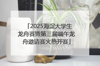 2025海淀大学生龙舟赛暨第三届端午龙舟邀请赛火热开赛