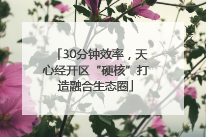 30分钟效率，天心经开区“硬核”打造融合生态圈