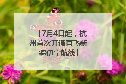 7月4日起，杭州首次开通直飞新疆伊宁航线