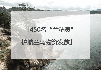 450名“兰精灵”护航兰马物资发放