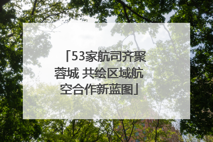 53家航司齐聚蓉城 共绘区域航空合作新蓝图