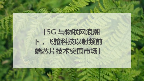 5G 与物联网浪潮下，飞骧科技以射频前端芯片技术突围市场