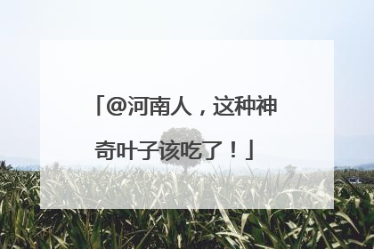 @河南人，这种神奇叶子该吃了！