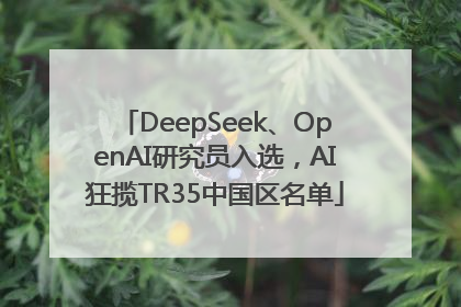 DeepSeek、OpenAI研究员入选，AI狂揽TR35中国区名单