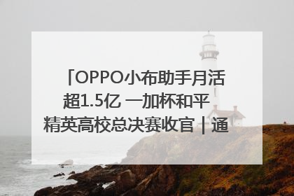 OPPO小布助手月活超1.5亿 一加杯和平精英高校总决赛收官｜通讯Plus·早报